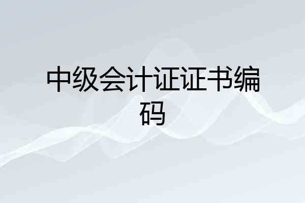 中级会计证证书编码