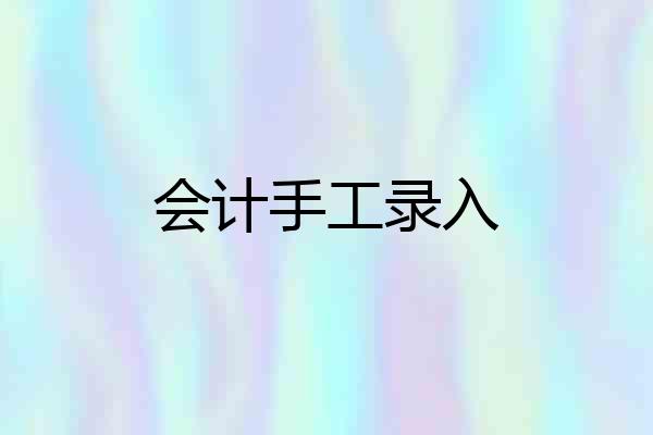 会计手工录入
