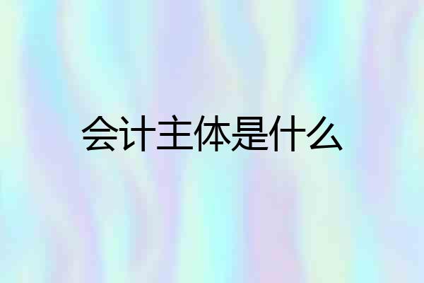 会计主体是什么
