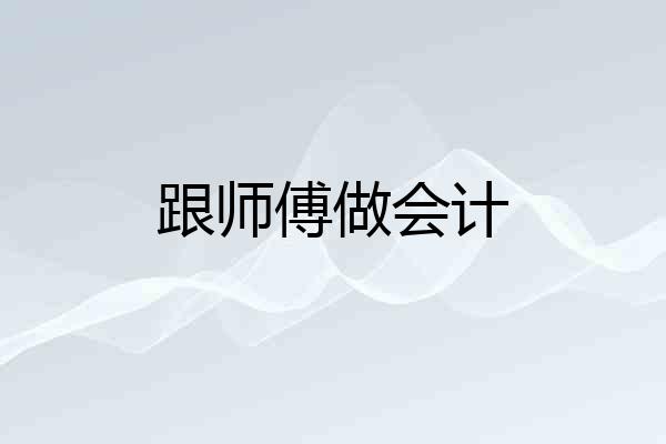 跟师傅做会计