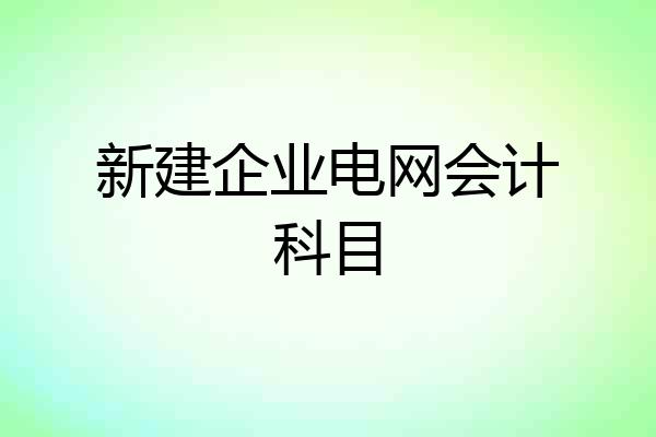 新建企业电网会计科目