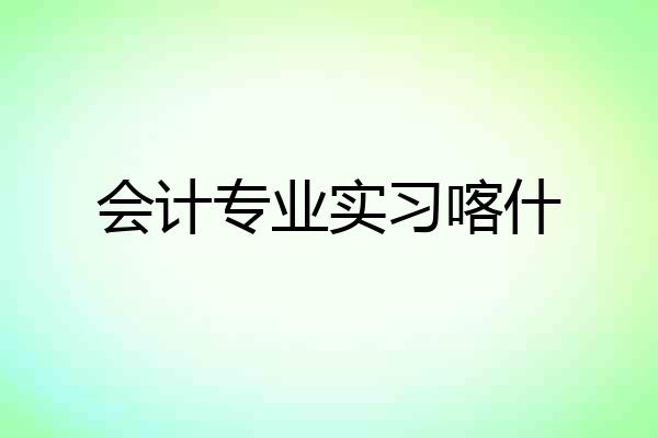 会计专业实习喀什