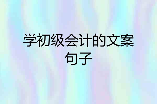 学初级会计的文案句子