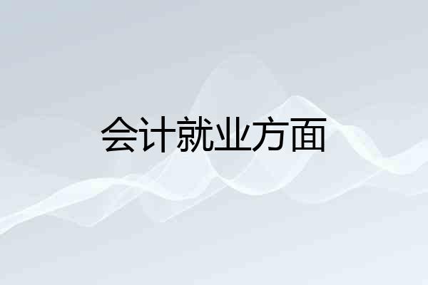 会计就业方面