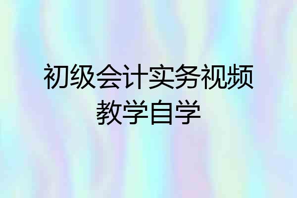 初级会计实务视频教学自学