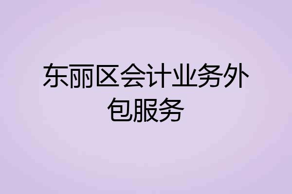 东丽区会计业务外包服务