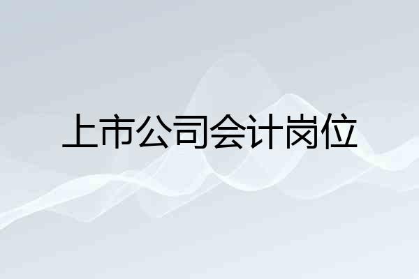 上市公司会计岗位