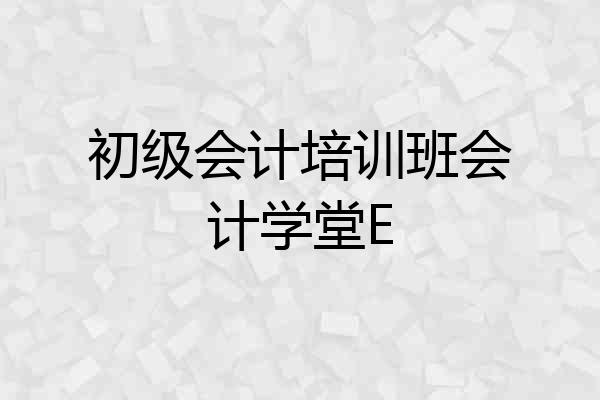 初级会计培训班会计学堂E