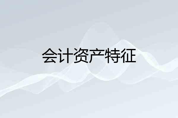 会计资产特征