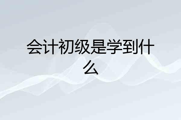 会计初级是学到什么