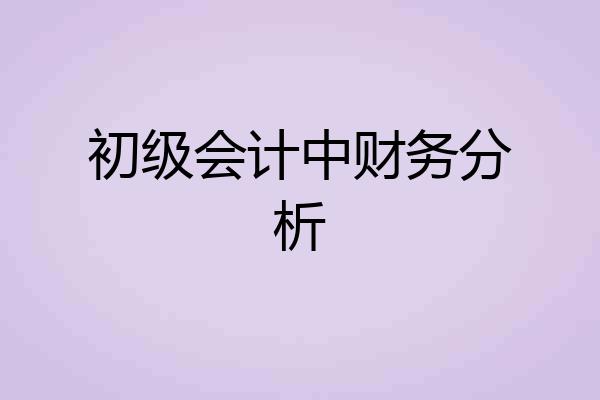 初级会计中财务分析