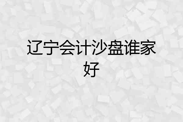 辽宁会计沙盘谁家好