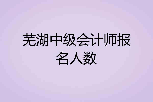 芜湖中级会计师报名人数