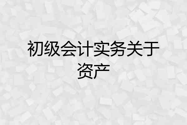 初级会计实务关于资产
