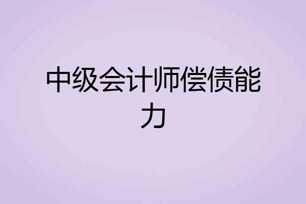 中级会计师偿债能力