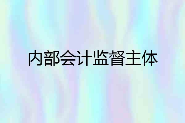 内部会计监督主体