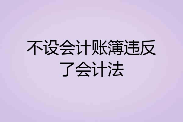 不设会计账簿违反了会计法