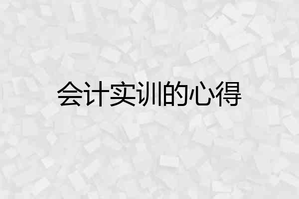 会计实训的心得