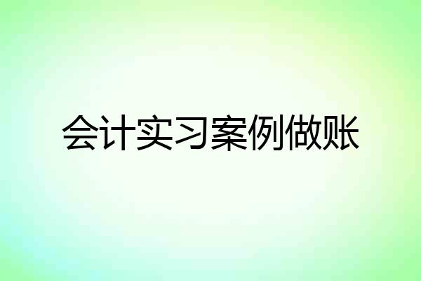 会计实习案例做账