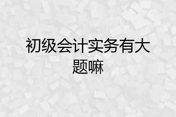 初级会计实务有大题嘛