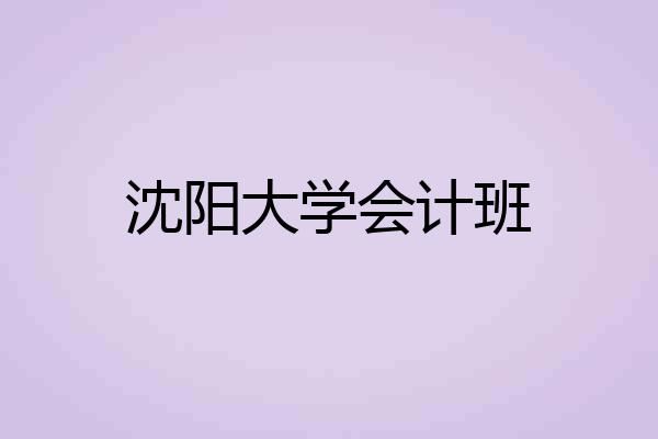 沈阳大学会计班