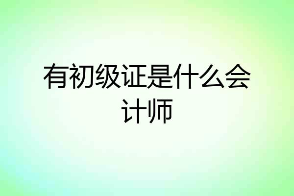 有初级证是什么会计师
