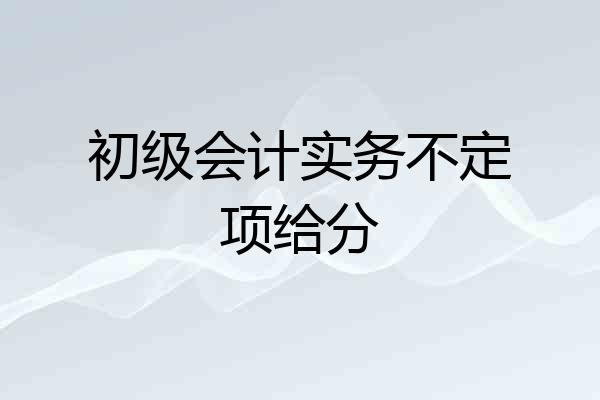 初级会计实务不定项给分
