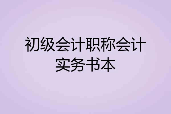初级会计职称会计实务书本