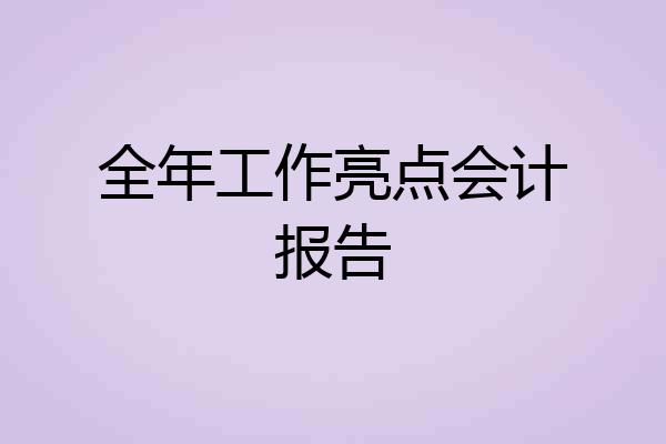 全年工作亮点会计报告