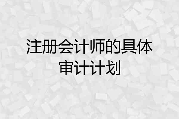 注册会计师的具体审计计划