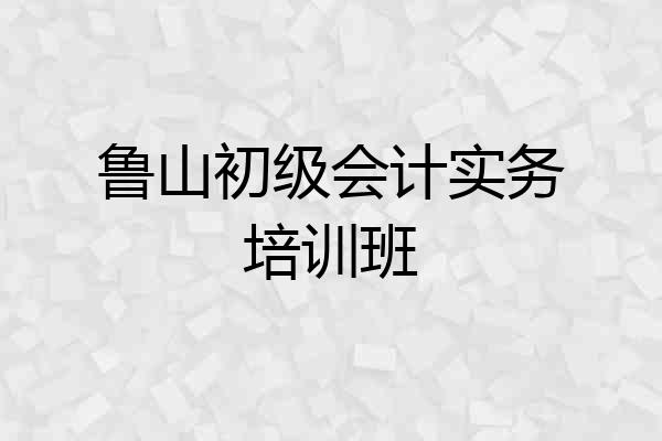 鲁山初级会计实务培训班