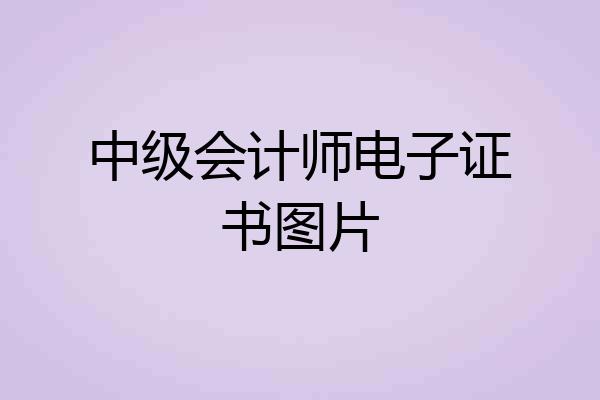 中级会计师电子证书图片