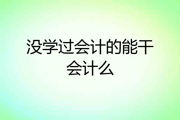 没学过会计的能干会计么