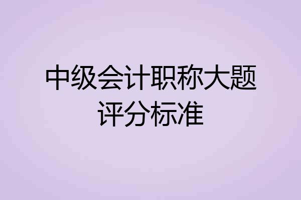 中级会计职称大题评分标准