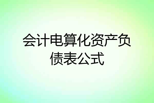 会计电算化资产负债表公式