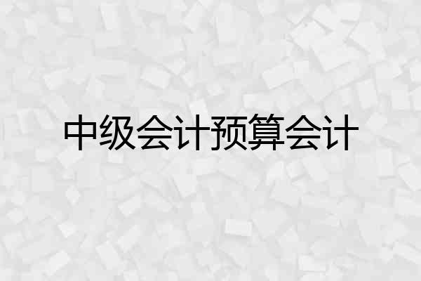 中级会计预算会计