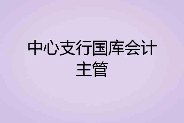 中心支行国库会计主管