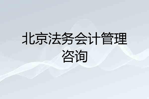 北京法务会计管理咨询