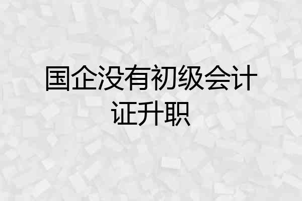 国企没有初级会计证升职