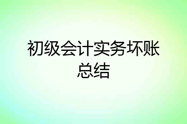 初级会计实务坏账总结