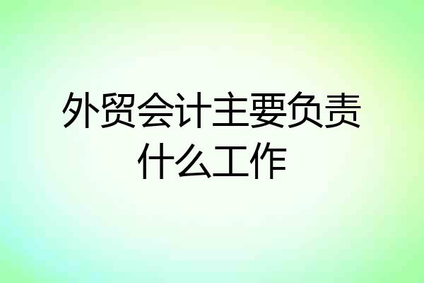 外贸会计主要负责什么工作