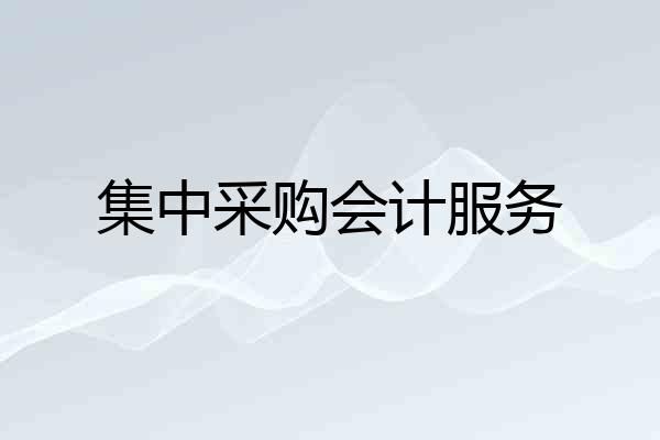 集中采购会计服务