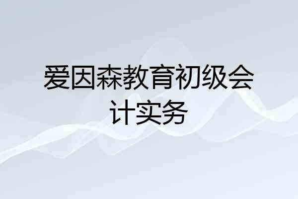 爱因森教育初级会计实务
