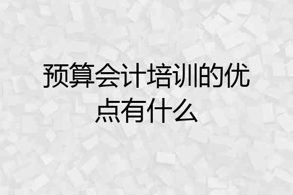 预算会计培训的优点有什么
