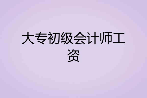 大专初级会计师工资