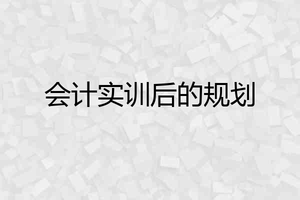会计实训后的规划