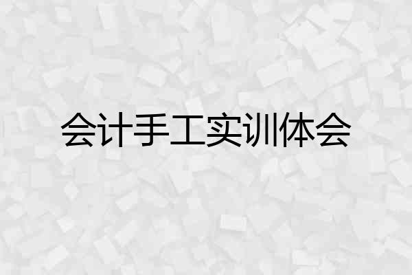 会计手工实训体会