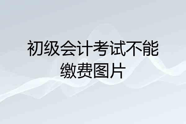 初级会计考试不能缴费图片