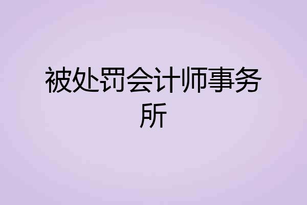 被处罚会计师事务所