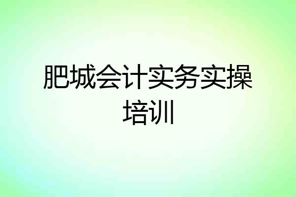 肥城会计实务实操培训